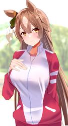  1girl animal_ears blush breasts brown_eyes brown_hair closed_mouth hair_between_eyes highres horse_ears horse_girl jacket large_breasts long_hair long_sleeves looking_at_viewer pants red_pants satono_diamond smile solo track_jacket tsubapi_(pupi57) umamusume upper_body 