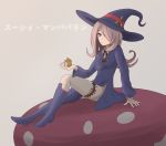  1girl alternate_costume animal boots breasts character_name eyebrows_visible_through_hair grey_background hair_over_one_eye hat highres holding holding_animal little_witch_academia long_hair luna_nova_school_uniform mouse mushroom pink_hair potion red_eyes simple_background sitting small_breasts solo soveno sucy_manbavaran thighs vial wide_sleeves witch witch_hat 