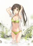  1girl ahoge arms_up bamboo bangs bikini blush breasts brown_eyes cleavage collarbone commentary_request eyebrows_visible_through_hair front-tie_bikini front-tie_top girls_frontline green_bikini green_hair highres long_hair m4a1_(girls_frontline) medium_breasts mouth_hold multicolored_hair navel onsen open_clothes open_shirt plant ponytail see-through shirt short_sleeves sidelocks signature solo stomach streaked_hair swept_bangs swimsuit thigh_gap tying_hair wading water wet wet_clothes wet_shirt white_background white_shirt yuuki_mix 