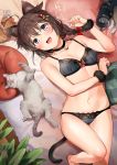  1girl :d ahoge animal_ears bare_legs barefoot bell bell_choker black_bra black_panties blue_eyes blush bow bra braid breasts brown_hair cat cat_ears cat_tail choker cleavage eyebrows_visible_through_hair fang hair_bow highres jingle_bell kantai_collection kemonomimi_mode lace lace-trimmed_bra lace-trimmed_panties lying medium_hair navel on_back open_mouth panties paw_pose shigure_(kantai_collection) small_breasts smile solo tail umakuchi_shouyu underwear underwear_only wrist_cuffs 