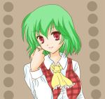  ascot bust green_hair kazami_yuuka lips nakiusako plaid_vest red_eyes short_hair smile touhou 