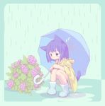  1girl animal_ears blue_eyes blue_hair boots cat_ears cat_girl cat_tail commentary flower holding holding_umbrella hydrangea original rain raincoat short_hair short_shorts shorts solo squatting sudumenooyado tail umbrella 