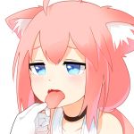  13o 1girl ahoge animal_ear_fluff animal_ears bangs bare_shoulders black_choker cat_ears cat_tongue choker collarbone commentary fang gloves hair_between_eyes hinata_channel long_hair nekomiya_hinata open_mouth out_of_frame pink_hair sidelocks simple_background solo_focus tongue tongue_out upper_body virtual_youtuber white_background white_gloves 