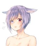  1girl animal_ears bangs blush breasts collarbone commentary_request eyebrows_visible_through_hair final_fantasy final_fantasy_xiv heterochromia midorikawa_you miqo&#039;te nude out-of-frame_censoring parted_lips purple_hair red_eyes short_hair simple_background small_breasts solo upper_body violet_eyes white_background 