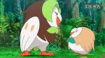  animated animated_gif bird closed_eyes creatures_(company) dartrix forest game_freak gen_7_pokemon glaring nintendo no_humans owl pokemon pokemon_(anime) pokemon_sm_(anime) rivalry rowlet size_difference 