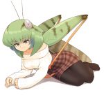  1girl antennae bangs bare_shoulders breasts bug casual commentary evolvingmonkey eyebrows_visible_through_hair fingernails full_body grasshopper grasshopper_inoue green_hair grey_eyes highres insect insect_girl legs_together light_smile long_sleeves looking_at_viewer lying medium_breasts medium_hair multicolored_hair no_shoes on_side original pantyhose plaid plaid_skirt ribbed_sweater simple_background skirt sleeves_past_wrists solo sweater two-tone_hair white_background 