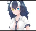  1girl animal_ears between_breasts blue_eyes breasts closed_mouth collarbone grey_hair grey_wolf_(kemono_friends) heterochromia highres kemono_friends large_breasts long_hair looking_at_viewer multicolored_hair necktie necktie_between_breasts open_clothes open_shirt simple_background solo two-tone_hair white_background white_hair wolf_ears wolf_girl yellow_eyes 