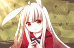  animal_ears grass hood open_mouth orange_eyes rabbit_ears ribbon silver_hair smile tears turquoise wolf_&amp;_rabbit 