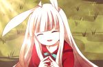  animal_ears closed_eyes grass hood open_mouth rabbit_ears ribbon silver_hair smile tears turquoise wolf_&amp;_rabbit 