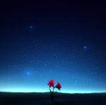  flower flower_request highres horizon kijineko night night_sky no_humans original outdoors red_flower sky star_(sky) starry_sky sunrise 