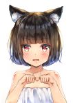 1girl :d animal_ear_fluff animal_ears azur_lane bangs bare_arms bare_shoulders blunt_bangs blush brown_hair cat_ears chahei collarbone commentary_request dress eyebrows_visible_through_hair fang hands_up highres looking_at_viewer open_mouth short_hair simple_background smile solo strapless strapless_dress upper_body white_background white_dress yamashiro_(azur_lane) 