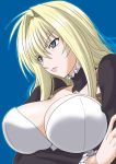  blue_eyes breasts large_breasts long_hair misnon_the_great sekirei tsukiumi 