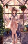  1girl backlighting bangs bare_legs barefoot black_hair blue_flower blue_neckwear blue_sailor_collar blush bow bowtie breasts brown_eyes closed_mouth clouds cloudy_sky collarbone commentary_request dress eyebrows_visible_through_hair flower full_body greenhouse hair_between_eyes hanging_plant hat highres hmw_(pixiv7054584) holding hose indoors long_hair looking_at_viewer orange_sky original plant potted_plant red_flower sailor_collar sailor_dress see-through shirt_tug short_sleeves sidelocks sign sky small_breasts smile solo standing straw_hat twilight water water_drop wet wet_clothes window 