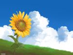  blue_sky blurry blurry_background clouds commentary day depth_of_field english_commentary field flower grass highres making_of mclelun no_humans original outdoors photoshop_(medium) scenery signature sky sunflower 