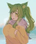  1girl :d animal_ears bangs blue_sky blush breasts breath commentary day eyebrows_visible_through_hair fang green_eyes green_hair inuyama_aoi kemonomimi_mode large_breasts long_sleeves looking_at_viewer mogu_(kanikama_mgmg) open_mouth outdoors pink_scarf scarf sky slit_pupils smile solo sweater thick_eyebrows twintails upper_body yurucamp 