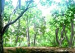  commentary_request day forest grass hirota_(masasiv3) nature no_humans original outdoors scenery tree 