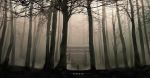  1girl commentary_request dark fog forest izna_(iznatic) nature original outdoors scenery short_hair solo standing torii translation_request 