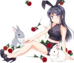  1girl animal_ears black_footwear black_hair black_skirt bunny_girl flower full_body hair_ornament hairclip high_heels hiro9779 long_hair looking_at_viewer pencil_skirt rabbit rabbit_ears rose sakurajima_mai seishun_buta_yarou simple_background sitting skirt solo tank_top violet_eyes white_background 