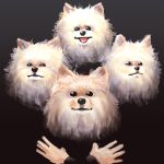  absurdres bohemian_rhapsody chanta_(ayatakaoisii) crossed_arms dog dog_focus highres looking_at_viewer no_humans parody pomeranian_(dog) queen_(band) 