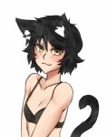 1girl :3 animal_ear_fluff animal_ears black_bra black_hair blush bra cat_ears cat_tail collarbone commentary eyebrows_visible_through_hair flat_chest freckles kemonomimi_mode looking_at_viewer mari_(twrlare) no_shirt original short_hair simple_background smile solo tail twrlare underwear upper_body white_background yellow_eyes 