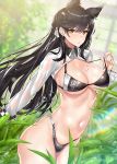  1girl alternate_costume animal_ears ass atago_(azur_lane) azur_lane bangs bikini black_bikini black_hair blurry breasts cleavage collarbone commentary commentary_request depth_of_field english_commentary ero_waifu eyebrows_visible_through_hair from_side greenhouse hair_between_eyes hair_ribbon long_hair looking_at_viewer mole mole_under_eye navel parted_lips pink_lips plant racequeen rainbow ribbon shiny shiny_skin shrug_(clothing) solo stomach strap_pull swimsuit thighs toned water_drop wet wet_clothes wolf_ears wrist_cuffs yellow_eyes 