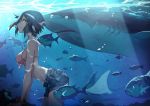  1girl animal bangle bare_arms bare_shoulders bikini_top black_hair blue_shorts bracelet breasts brown_eyes commentary_request day fish highres jewelry medium_breasts ocean original outdoors parted_lips pink_bikini_top sanshouuo shark short_shorts shorts solo underwater water 