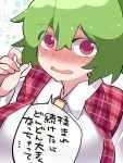  1girl between_breasts breasts commentary_request dress_shirt green_hair hammer_(sunset_beach) kazami_yuuka large_breasts looking_at_viewer necktie necktie_between_breasts open_mouth plaid plaid_vest red_eyes shirt solo touhou translation_request vest 