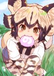  1girl :3 african_wild_dog_(kemono_friends) african_wild_dog_print all_fours animal_ear_fluff animal_ears animal_print bangs black_hair blush bodystocking brown_eyes commentary_request day dog_ears dog_tail eyebrows_visible_through_hair flipped_hair food grass highres japari_bun kemono_friends light_brown_hair long_sleeves looking_at_viewer mouth_hold multicolored_hair ooba_jun outdoors shirt short_over_long_sleeves short_sleeves shorts sidelocks smile solo tail twitter_username two-tone_hair white_shirt 