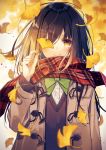  1girl autumn autumn_leaves bangs blurry blush bow bowtie brown_hair coat covered_eyes crying depth_of_field falling_leaves ginkgo ginkgo_leaf leaf long_hair looking_at_viewer open_clothes open_coat original oshio_(dayo) plaid plaid_scarf red_scarf scarf school_uniform smile solo sweater tears upper_body wind yellow_eyes 