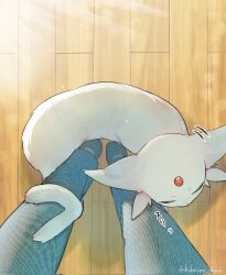  1other animal_focus blue_pants closed_eyes closed_mouth espeon forehead_jewel forked_tail gem highres hokaimo_pkmn pants pokemon pokemon_(creature) pokemon_focus purple_fur red_gemstone tail wooden_floor 