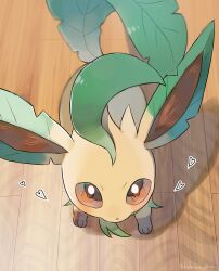  animal_focus blush brown_eyes closed_mouth floor green_fur highres hokaimo_pkmn leaf leafeon looking_at_viewer no_humans pokemon pokemon_(creature) pokemon_focus solo tail wooden_floor yellow_fur 
