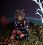  apple apples brown_hair food fruit holo kneeling liki long_hair red_eyes spice_and_wolf wheat 