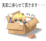  box braid cardboard_box green_eyes in_box in_container kumamoto_umu lowres silfa solo tears to_heart_2 translated translation_request 
