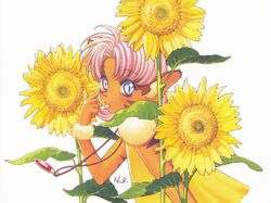  escaflowne flower highres merle millerna_aston pink_hair tenkuu_no_escaflowne yuuki_nobuteru 