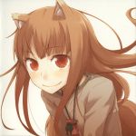  ayakura_juu brown_hair craft_lawrence highres holo long_hair red_eyes reflection spice_and_wolf tail wolf_ears 