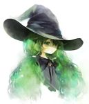  :o bust flower green_eyes green_hair hair_over_one_eye hat long_hair rough shimeko shimeshime solo twintails very_long_hair witch witch_hat 
