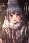  1girl blue_hair blurry blush breath can31293274 commentary_request depth_of_field eyebrows_visible_through_hair hair_bun head_tilt highres long_sleeves looking_at_viewer open_mouth pink_eyes shawl shima_rin solo translated yurucamp 