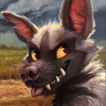  chipped_ear creatures_(company) fangs game_freak gen_3_pokemon highres hyena kenket nintendo no_humans pokemon pokemon_(game) pokemon_rse poochyena teeth yellow_sclera 