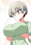  1girl blue_eyes blush breast_hold breasts commentary_request covered_nipples eyebrows_visible_through_hair green_shirt grey_hair hair_between_eyes hitotose_rin impossible_clothes impossible_shirt pout shirt short_hair simple_background solo taut_clothes upper_body uzaki-chan_wa_asobitai! uzaki_hana 