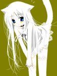  bell blue_eyes cat_ears collar long_hair oekaki original sakurazawa_izumi tail thigh-highs thighhighs white_hair 