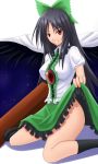  reiuji_utsuho shuugetsu_karasu skirt skirt_lift touhou 