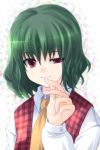  bad_id green_hair hara_takehito kazami_yuuka plaid_vest red_eyes short_hair touhou 