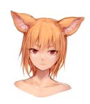  1girl absurdres animal_ears bangs closed_mouth collarbone ears_down fox_ears fox_girl highres looking_at_viewer nude orange_hair original portrait red_eyes short_hair simple_background slit_pupils solo sukemyon white_background 