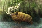  boar chinese_zodiac day forest nature no_humans original outdoors profile river tk8d32 water year_of_the_pig 
