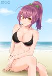  &gt;:) 1girl bangs beach bikini black_bikini blush bow breasts collarbone dated day green_bow hair_bow ibuki_imina large_breasts long_hair looking_at_viewer ocean outdoors ponytail purple_hair school_girl_strikers shimeta_hiromitsu sitting sky smirk solo swimsuit twitter_username yellow_eyes 