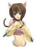  .hack//g.u. .hack//games .hack//roots animal_ears brown_hair cat_ears cat_paws happy lowres midriff navel paws purple_eyes smile tabby violet_eyes 