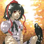  arioto bird bird_on_leg black_hair crow hat pen red_eyes ribbon shade shameimaru_aya short_hair sitting touhou 