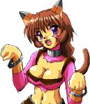  .hack//g.u. .hack//games .hack//roots animal_ears bracelet breasts brown_hair cat_ears cat_pose cleavage fang happy jewelry lowres midriff navel paw_pose ponytail purple_eyes smile tabby violet_eyes 