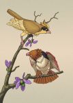  bird branch claws commentary creature creatures_(company) english_commentary flower game_freak gen_1_pokemon nintendo no_humans pidgey pokemon pokemon_(creature) racieb realistic sepia_background simple_background spearow 
