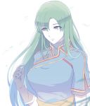  1girl alternate_hairstyle blush dress fire_emblem fire_emblem:_rekka_no_ken gloves green_eyes green_hair hair_down high_ponytail intelligent_systems kazame long_hair lyndis_(fire_emblem) nintendo simple_background solo very_long_hair 